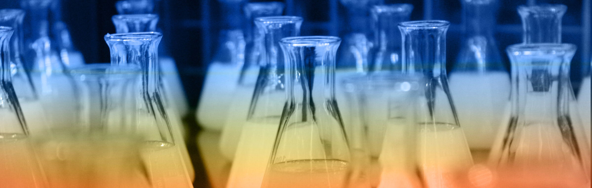 chemically resistant adhesives