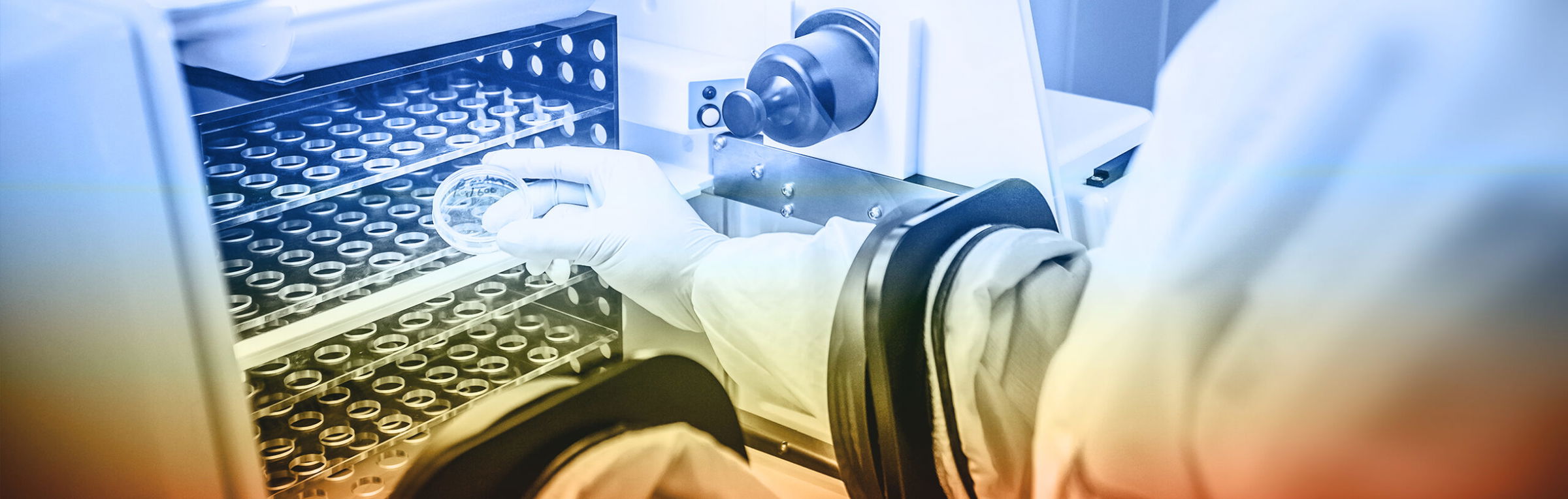 curing properties of epoxies